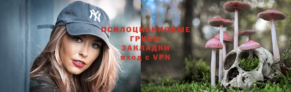 Альфа ПВП Белокуриха