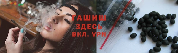 спиды Богородицк
