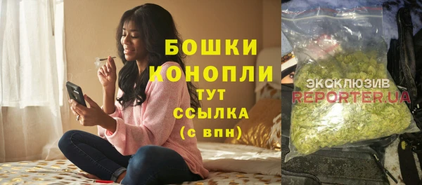 спиды Богородицк