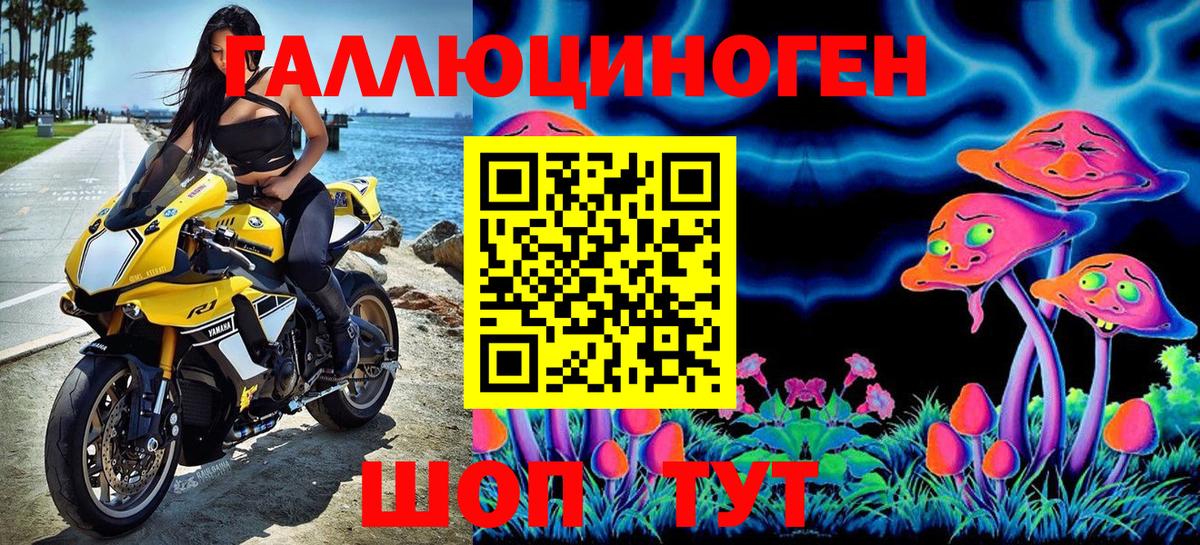 Псилоцибиновые грибы мицелий Дальнегорск