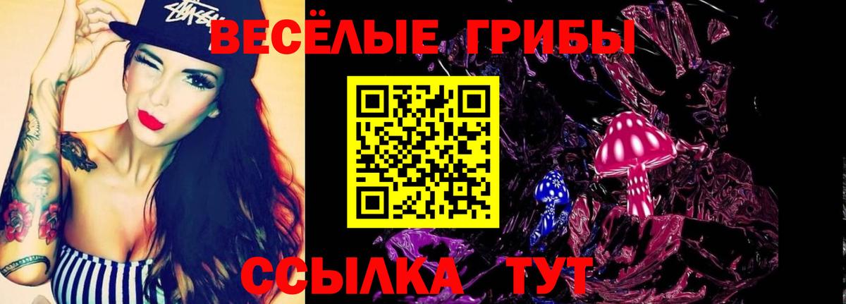 Галлюциногенные грибы MAGIC MUSHROOMS  Вход с VPN  Дальнегорск 